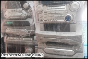 loye-system (1)