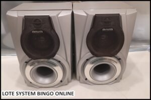 loye-system (20)
