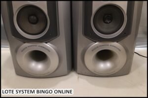 loye-system (24)