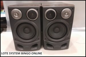 loye-system (26)