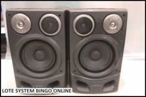 loye-system (27)
