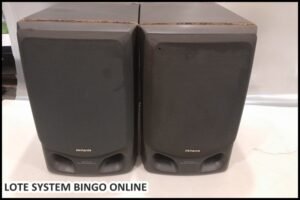 loye-system (28)
