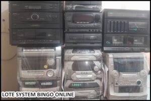 loye-system (30)