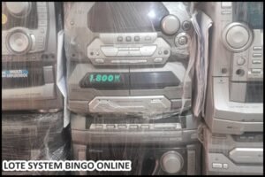 loye-system (4)