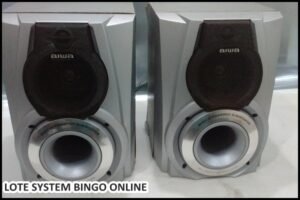 loye-system (7)