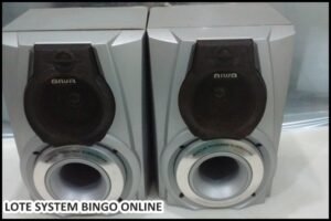 loye-system (8)