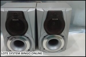 loye-system (9)