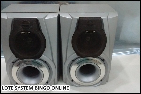 loye-system (9)
